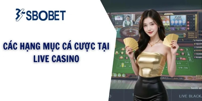 Sảnh cược casino đa dạng