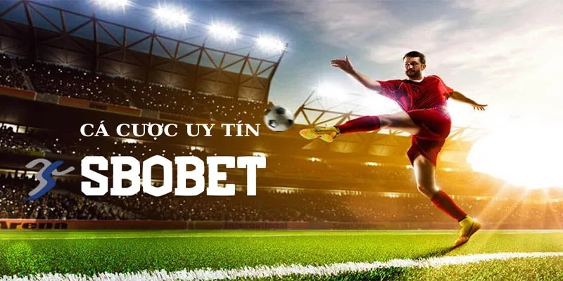 Kinh nghiệm cá cược thể thao tại sbobet