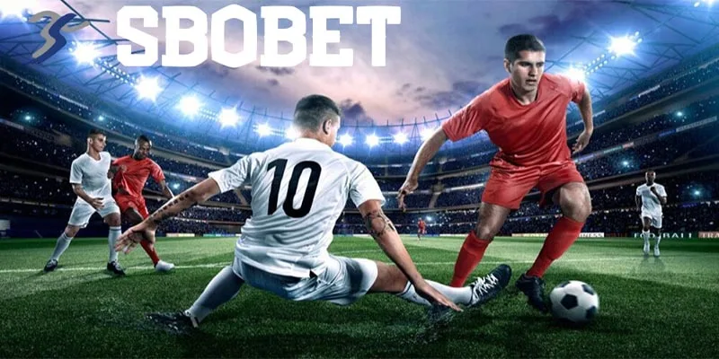 Trải nhiệm mượt mà tại sbobet